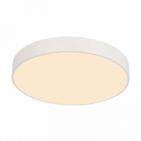 Накладной светильник F-promo Arena 4685-8C в Коротчаево - korotchaevo.mebel24.online | фото 2