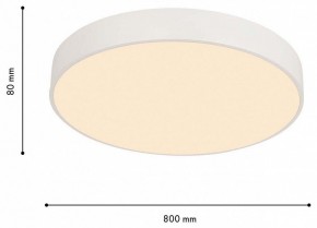 Накладной светильник F-promo Arena 4685-8C в Коротчаево - korotchaevo.mebel24.online | фото 6