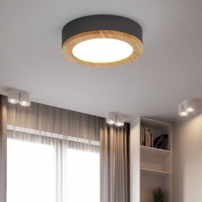 Накладной светильник Imperiumloft Wudda Серый WUDDA01 в Коротчаево - korotchaevo.mebel24.online | фото 4