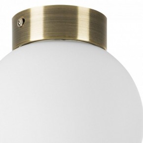 Накладной светильник Lightstar Globo 812011 в Коротчаево - korotchaevo.mebel24.online | фото 3