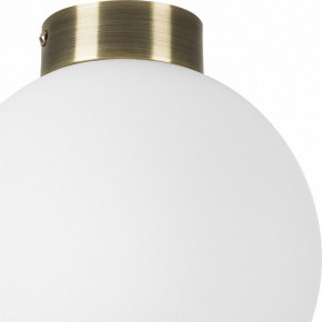 Накладной светильник Lightstar Globo 812021 в Коротчаево - korotchaevo.mebel24.online | фото 3