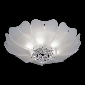 Накладной светильник Lightstar Lobo 804020 в Коротчаево - korotchaevo.mebel24.online | фото 2
