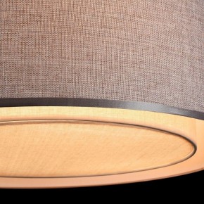 Накладной светильник Maytoni Bergamo MOD613CL-04GR в Коротчаево - korotchaevo.mebel24.online | фото 10