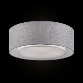 Накладной светильник Maytoni Bergamo MOD613CL-04GR в Коротчаево - korotchaevo.mebel24.online | фото 2