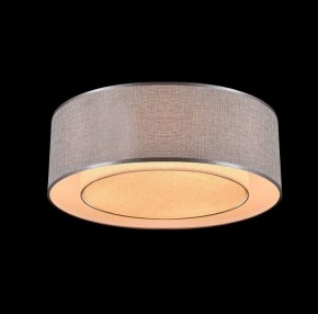 Накладной светильник Maytoni Bergamo MOD613CL-04GR в Коротчаево - korotchaevo.mebel24.online | фото 4
