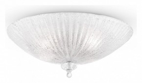 Накладной светильник Maytoni Bonnet C809CL-04CH в Коротчаево - korotchaevo.mebel24.online | фото 2
