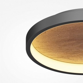 Накладной светильник Maytoni Orign MOD311CL-L40B3K в Коротчаево - korotchaevo.mebel24.online | фото 3