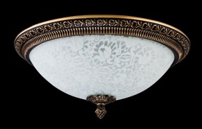 Накладной светильник Maytoni Pascal C908-CL-03-R в Коротчаево - korotchaevo.mebel24.online | фото 2