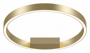 Накладной светильник Maytoni Rim MOD058CL-L25BSK в Коротчаево - korotchaevo.mebel24.online | фото 2