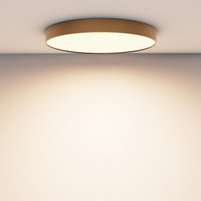 Накладной светильник Maytoni Zon C032CL-90W3K-RD-MG в Коротчаево - korotchaevo.mebel24.online | фото 4