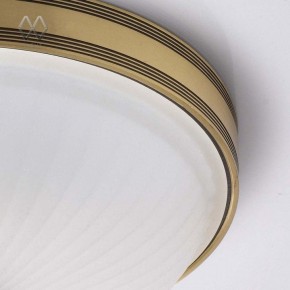 Накладной светильник MW-Light Ангел 12 295013402 в Коротчаево - korotchaevo.mebel24.online | фото 7