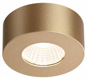 Накладной светильник Odeon Light Bene 4284/7CL в Коротчаево - korotchaevo.mebel24.online | фото 4