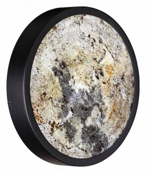 Накладной светильник Odeon Light Bergi 5064/15WL в Коротчаево - korotchaevo.mebel24.online | фото 7