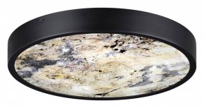 Накладной светильник Odeon Light Bergi 5064/30L в Коротчаево - korotchaevo.mebel24.online | фото 4