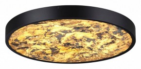 Накладной светильник Odeon Light Bergi 5064/40L в Коротчаево - korotchaevo.mebel24.online | фото 2