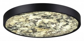 Накладной светильник Odeon Light Bergi 5064/40L в Коротчаево - korotchaevo.mebel24.online | фото 3