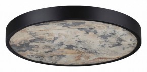 Накладной светильник Odeon Light Bergi 5064/40L в Коротчаево - korotchaevo.mebel24.online | фото 6