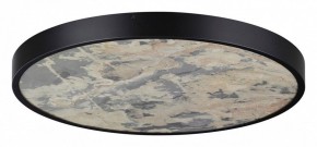 Накладной светильник Odeon Light Bergi 5064/50L в Коротчаево - korotchaevo.mebel24.online | фото 3