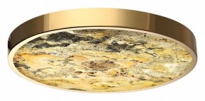 Накладной светильник Odeon Light Bergi 5079/40L в Коротчаево - korotchaevo.mebel24.online | фото 2