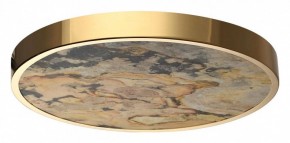 Накладной светильник Odeon Light Bergi 5079/40L в Коротчаево - korotchaevo.mebel24.online | фото 4