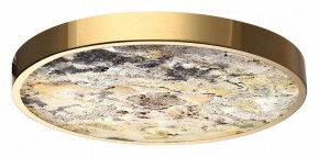 Накладной светильник Odeon Light Bergi 5079/40L в Коротчаево - korotchaevo.mebel24.online | фото 6