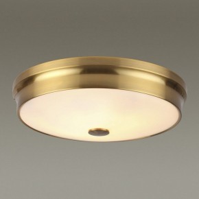 Накладной светильник Odeon Light Marsei 4824/4C в Коротчаево - korotchaevo.mebel24.online | фото 2