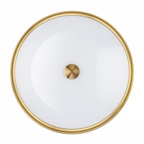 Накладной светильник Odeon Light Marsei 4824/4C в Коротчаево - korotchaevo.mebel24.online | фото 3