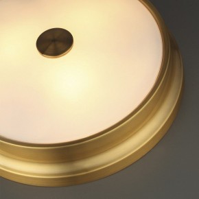 Накладной светильник Odeon Light Marsei 4824/4C в Коротчаево - korotchaevo.mebel24.online | фото 5