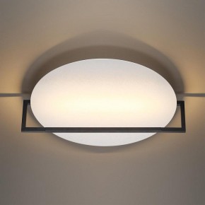 Накладной светильник Odeon Light Next 7015/20WL в Коротчаево - korotchaevo.mebel24.online | фото 2