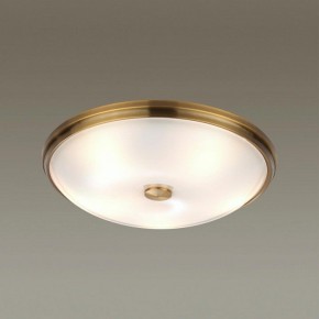 Накладной светильник Odeon Light Pelow 4956/5 в Коротчаево - korotchaevo.mebel24.online | фото 2