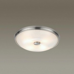 Накладной светильник Odeon Light Pelow 4957/4 в Коротчаево - korotchaevo.mebel24.online | фото 2
