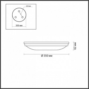 Накладной светильник Odeon Light Pelow 4957/4 в Коротчаево - korotchaevo.mebel24.online | фото 3