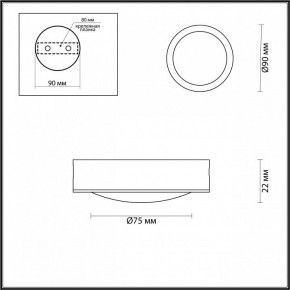 Накладной светильник Odeon Light Reus 4342/7CL в Коротчаево - korotchaevo.mebel24.online | фото 4