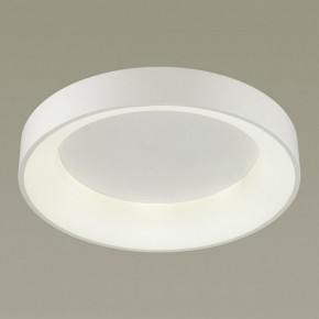 Накладной светильник Odeon Light Sole 4062/50CL в Коротчаево - korotchaevo.mebel24.online | фото 2