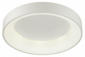 Накладной светильник Odeon Light Sole 4062/50CL в Коротчаево - korotchaevo.mebel24.online | фото 3