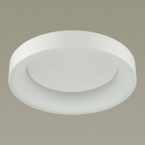 Накладной светильник Odeon Light Sole 4062/50CL в Коротчаево - korotchaevo.mebel24.online | фото 4