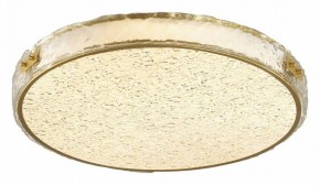 Накладной светильник Sonex Felice 7722/120L в Коротчаево - korotchaevo.mebel24.online | фото 3