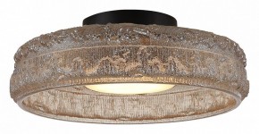 Накладной светильник ST-Luce ANTIKE SL6143.422.01 в Коротчаево - korotchaevo.mebel24.online | фото 3