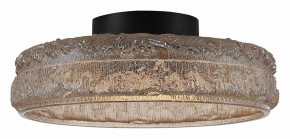 Накладной светильник ST-Luce ANTIKE SL6143.422.01 в Коротчаево - korotchaevo.mebel24.online | фото 4