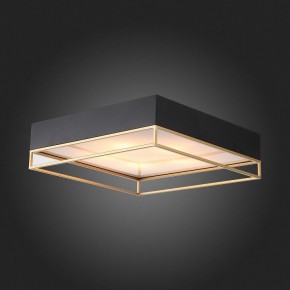 Накладной светильник ST-Luce Chodo SL1127.422.05 в Коротчаево - korotchaevo.mebel24.online | фото 5