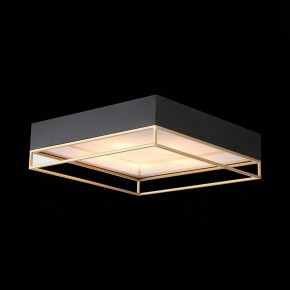 Накладной светильник ST-Luce Chodo SL1127.422.05 в Коротчаево - korotchaevo.mebel24.online | фото 8