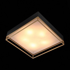 Накладной светильник ST-Luce Chodo SL1127.422.05 в Коротчаево - korotchaevo.mebel24.online | фото 9