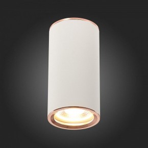Накладной светильник ST-Luce Chomus ST111.527.01 в Коротчаево - korotchaevo.mebel24.online | фото 5