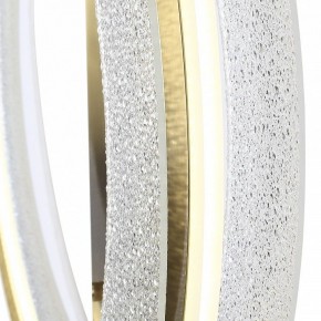 Накладной светильник ST-Luce FAGY SL6245.212.01 в Коротчаево - korotchaevo.mebel24.online | фото 4