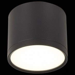 Накладной светильник ST-Luce Rene ST113.442.09 в Коротчаево - korotchaevo.mebel24.online | фото 3