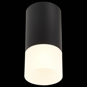 Накладной светильник ST-Luce ST100 ST100.412.01 в Коротчаево - korotchaevo.mebel24.online | фото 3