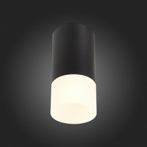 Накладной светильник ST-Luce ST100 ST100.412.01 в Коротчаево - korotchaevo.mebel24.online | фото 4