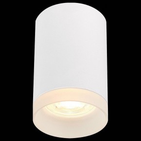Накладной светильник ST-Luce ST100 ST100.502.01 в Коротчаево - korotchaevo.mebel24.online | фото 3