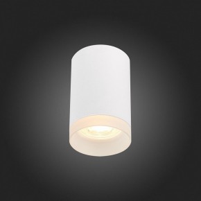 Накладной светильник ST-Luce ST100 ST100.502.01 в Коротчаево - korotchaevo.mebel24.online | фото 4