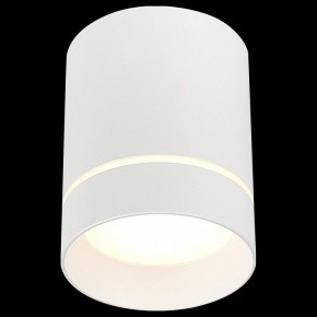 Накладной светильник ST-Luce ST115 ST115.532.12 в Коротчаево - korotchaevo.mebel24.online | фото 3